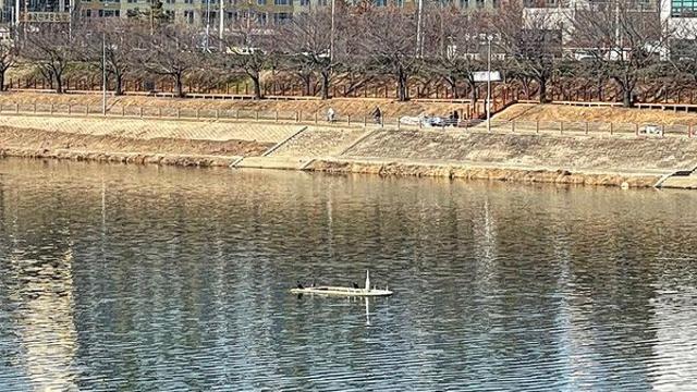 대구 아양교 분수 방치 11년…환경 논란 속 철거론 급부상