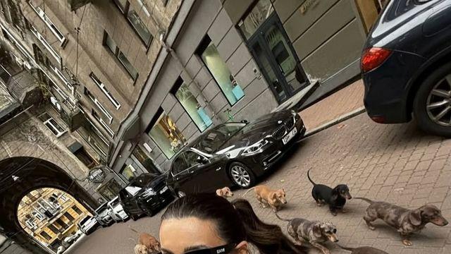 이 많은 강아지가 어디서 왔어? ‘AI 퍼피 컷’ 만들기