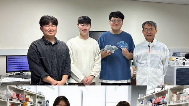 '적색 빛'으로 자극했더니 치매 기억력 되살렸다