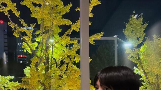 ‘숏컷 변신’ 송혜교, 가을 삼킨 분위기 여신 [IS하이컷]