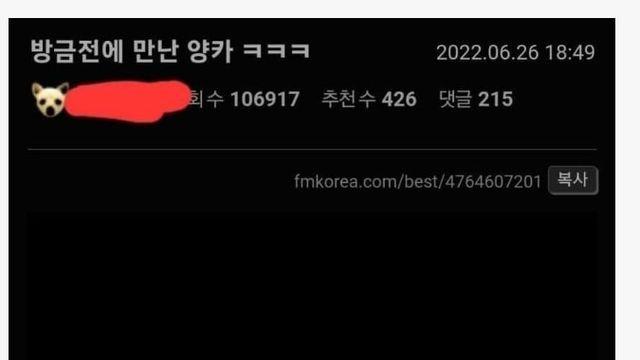 도로위 미래의 살인마를 알아본 펨코인 ㅎㄷㄷ