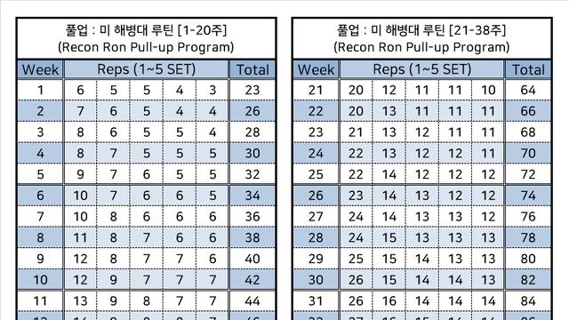 미해병대 풀업 루틴 수준