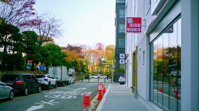 가을 산책 (14pic)