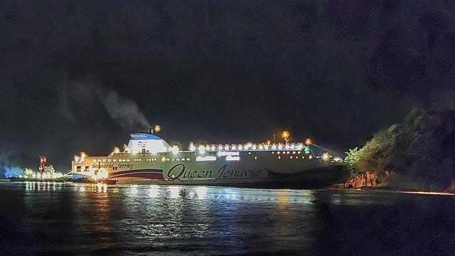 與, 재난재해대책 특위 발대식…대응 매뉴얼 발표