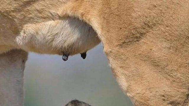 점심시간이 기다려져