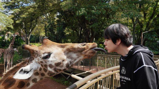 규현 “기린과 키스하고 느끼는 사람 돼…내가 봐도 혐오스러워” (케냐 간 세끼)