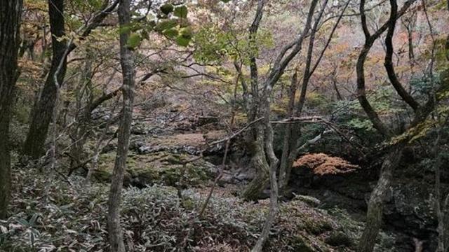 한라산 인기 많네...지지난주 한라산 등산이야기