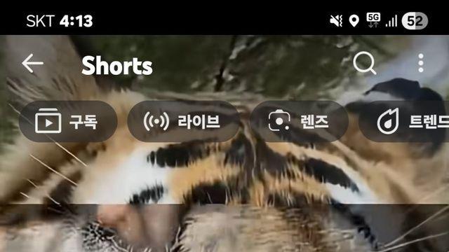 호랑이 혓바닥 확대사진ㄷㄷ