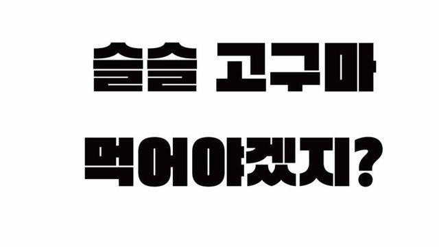 슬슬 고구마 먹어야 겠지?