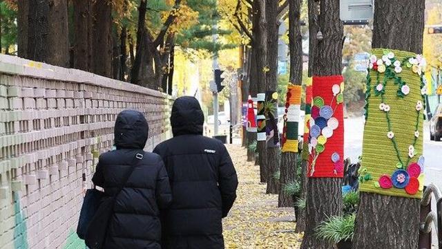 [날씨] 겨울의 문턱, 칼바람과 함께 찾아온 추위