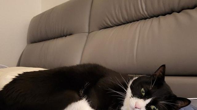 이번주 미션 완료.~ ????⬛