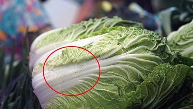 김장하려고 보니 배추 '까만 점'…먹어도 될까