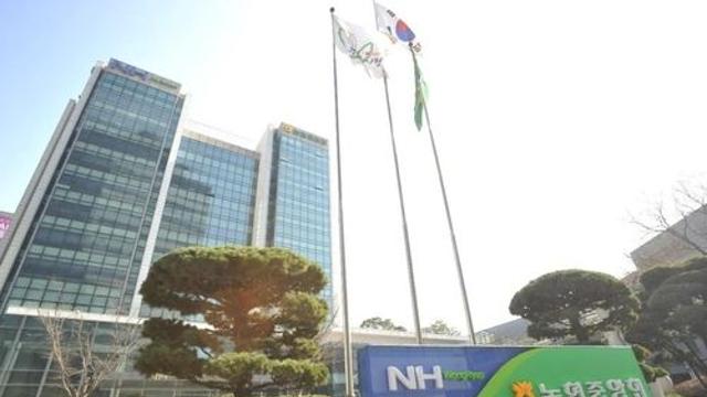 농협, 고객 22만 명 신용사면...연체 기록 말소