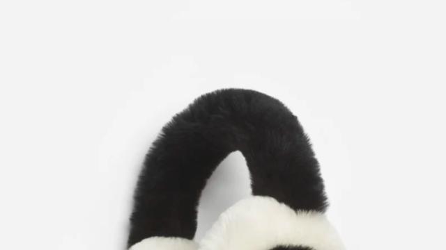 #이거 4세요_올 겨울 스키장의 주인공은 나야 나, 스키 용품 4