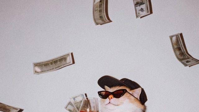 돈 많은 백수되기 vs 원하는 직업으로 돈 잘 버는 직장인