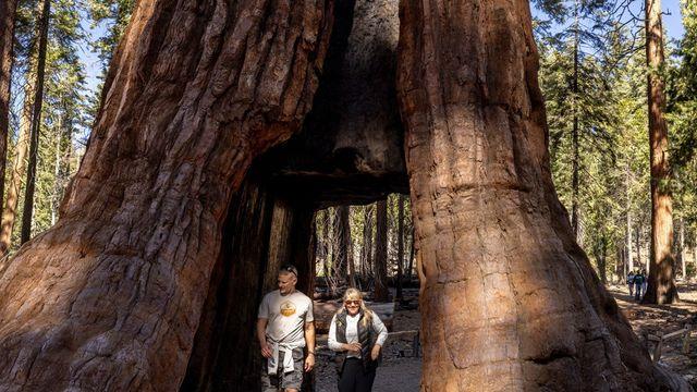내년부터 美국립공원 방문하는 외국인은 내국인보다 비싼 입장료