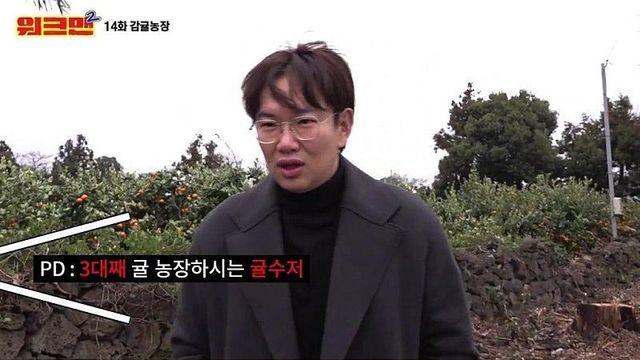 제주도 귤수저가 부모님 농장 일찍 물려 받은 이유