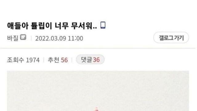 얘들아 내가 키우는 튤립이 무서워