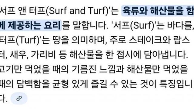 나붕이도 해먹어봐 (서프앤터프x2)