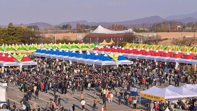 파주시, 제29회 파주장단콩축제, 방문객의 큰 호응 속 마무리