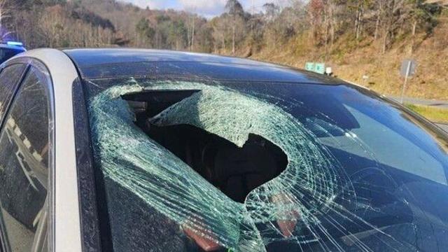 하늘에서 고양이가 떨어졌다?…미국 도로서 믿기 힘든 장면