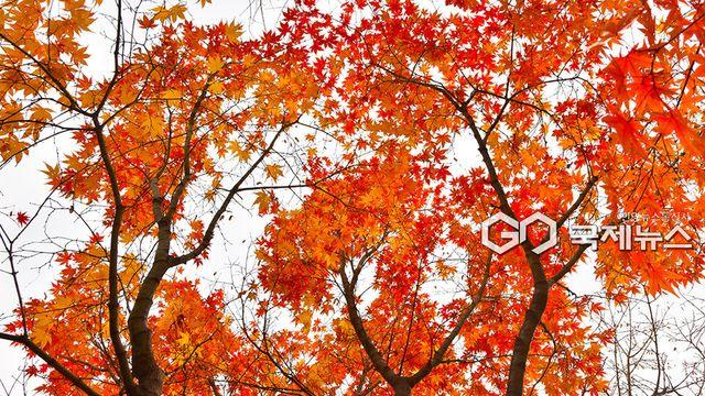 [오늘날씨] 강풍에 요란한 눈·비...수도권·강원 최고 20㎜ '강추위 쌀쌀'