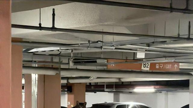 분노분노 지하주차장 털바퀴한테 테러당한 911 차주