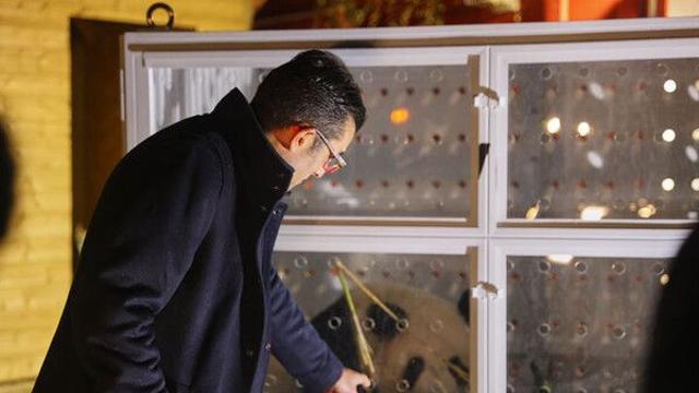 새끼 3마리 낳은 프랑스 스타 판다 부부, 고령 건강 악화로 중국행