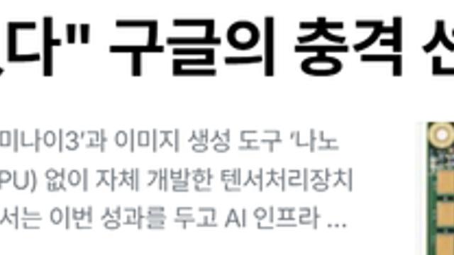 구글 : 이제 엔비디아 필요없다