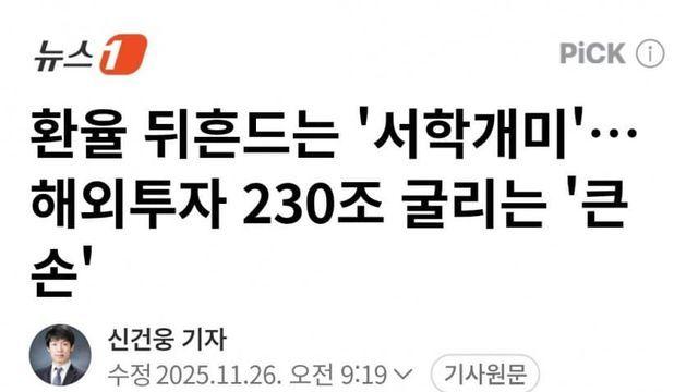 환율 뒤흔드는 서학개미..미장 230조 굴리는 '큰손'