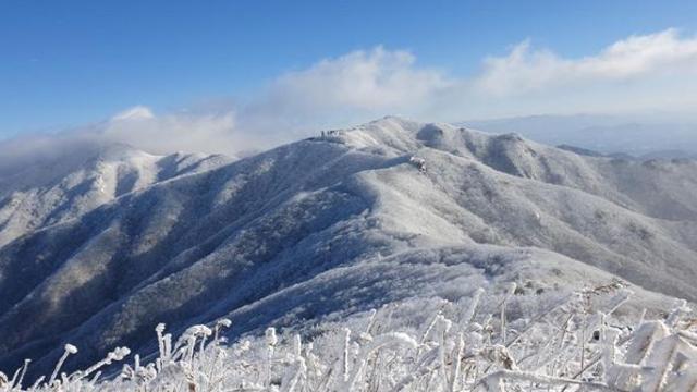 하루 만에 눈꽃으로 뒤덮였다… 11월 말에 ‘3㎝ 폭설’ 쏟아진 국내 명소