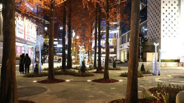 성남시, 서현역 일대 보행환경 새 단장…'특화정원·야간조명' 설치