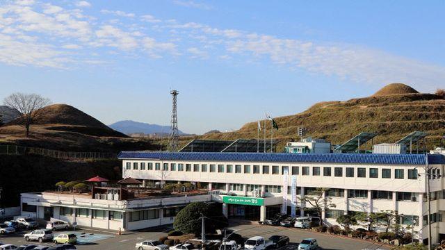 함안군 1억 가로수 사업, 사후관리 부실 논란