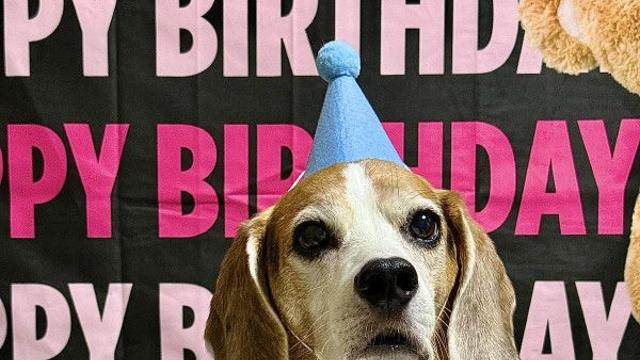 [굿즈이벤트]생일난장파티