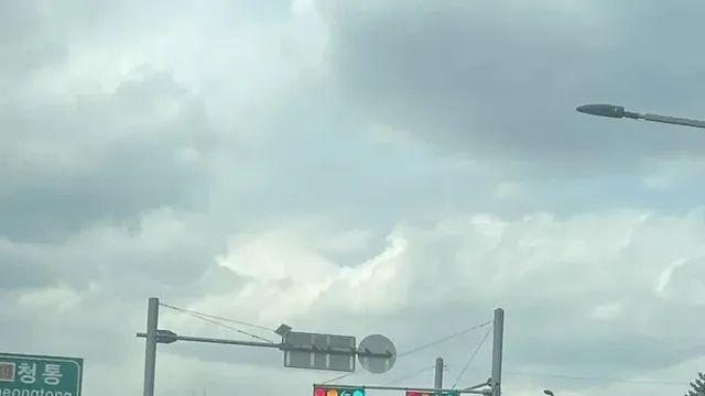 신호등도 볼 줄 모르면 운전대 잡지마