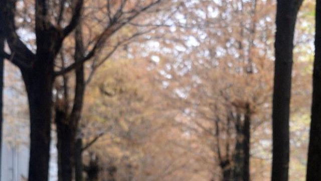 전국 흐리다 오전부터 차차 맑아져…낮 최고 16도