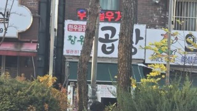 성남시의회 정연화 의원, “눈비 속에서도 직접 쓰레기 줍는 참된 공무원”