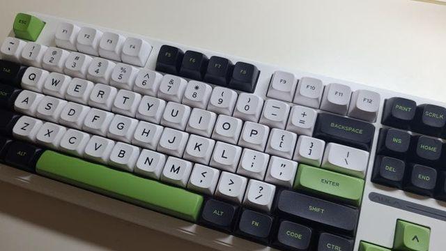 테무 5000원 독거미 후기