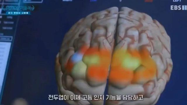 책 읽으면 머리가 좋아지는 이유