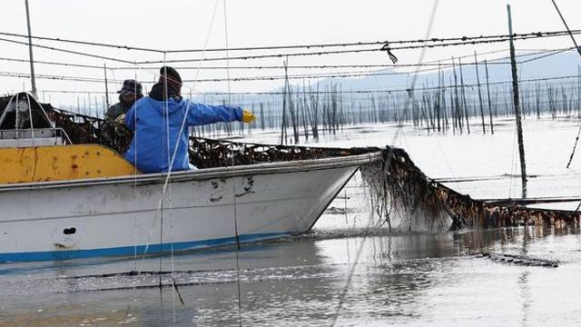 한국서 씨가 말랐다…중국·일본이 앞다퉈 쓸어간 ‘뜻밖의 한국 식재료’