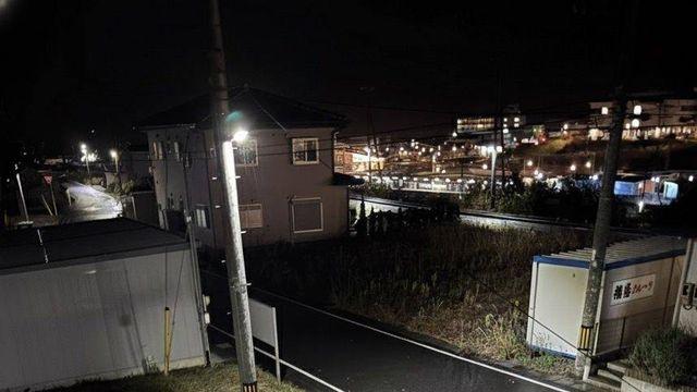 이런 곰이 집주위에 돌아다닌다고 한다