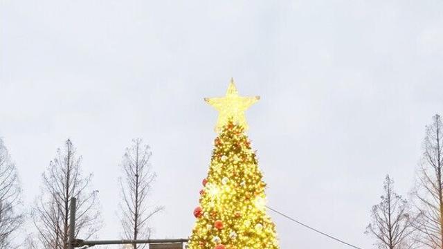 담양군, 겨울 감성 물씬 '담양산타축제' 12월 24일 공개