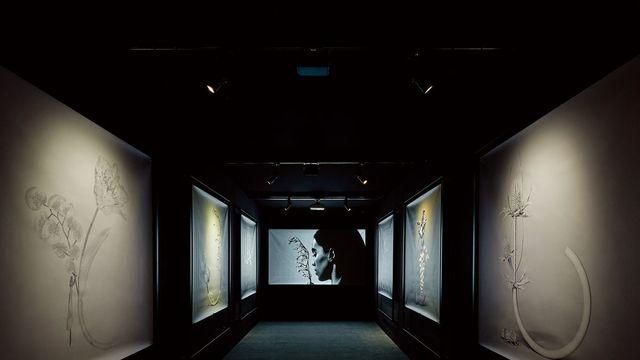 부쉐론의 뉴 하이 주얼리 컬렉션