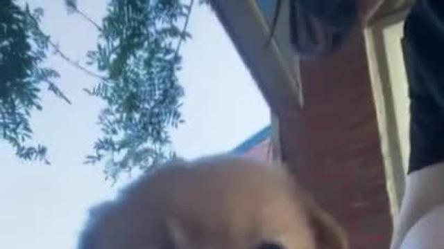 그냥 귀여운거 공유하고 싶어서 올림.