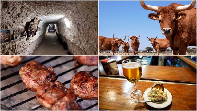 '세계테마기행' 1일 5식의 나라 스페인 미식 로드 3부, 알칼라 델 후카르 편