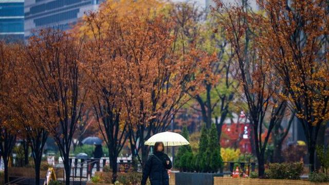 전북 흐리고 비나 눈…낮 8~12도 '강풍·풍랑특보'