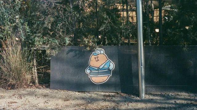 춘천 당일치기 250D