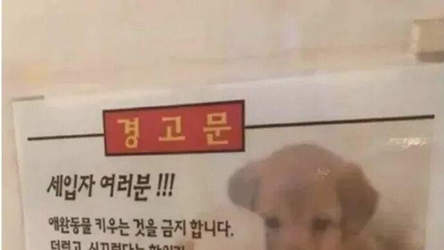 우리 주택은 비만 금지!.jpg