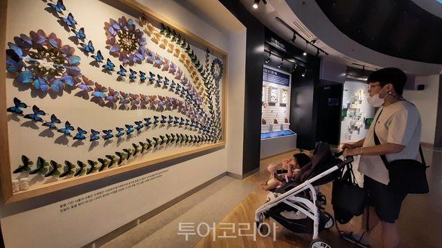 무주곤충박물관 ‘2회 연속 ‘공립박물관 인증’