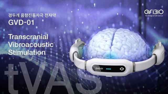 아리바이오 치매 전자약 GVD-01, '인지개선·뇌기능 보호' 입증